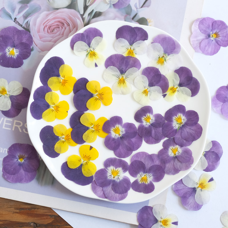 12pçs, natureza amor-perfeito  - Photo Beauty Makeup avaliação e preço