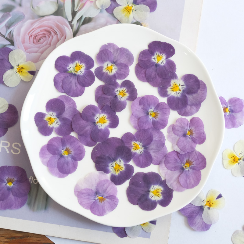 12pçs, natureza amor-perfeito  - Photo Beauty Makeup avaliação e preço